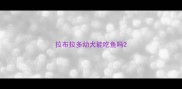 拉布拉多幼犬能吃鱼吗