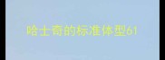 哈士奇的标准体型6