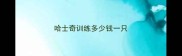 哈士奇训练多少钱一只