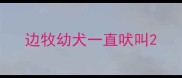 边牧幼犬一直吠叫