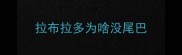 拉布拉多为啥没尾巴
