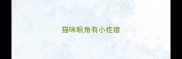 猫咪眼角有小疙瘩