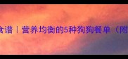 给狗狗做饭的零失败食谱营养均衡的5种狗狗餐单附工具清单新手必看