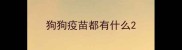 狗狗疫苗都有什么