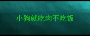 小狗就吃肉不吃饭