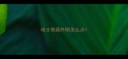 哈士奇舔外阴怎么办