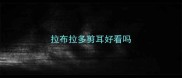 拉布拉多剪耳好看吗