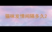 猫咪发情间隔多久
