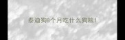 泰迪狗8个月吃什么狗粮