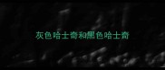 灰色哈士奇和黑色哈士奇
