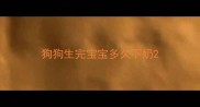 狗狗生完宝宝多久下奶