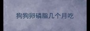 狗狗卵磷脂几个月吃
