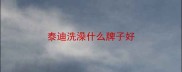 泰迪洗澡什么牌子好