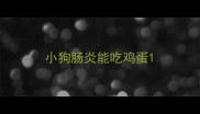 小狗肠炎能吃鸡蛋