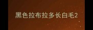 黑色拉布拉多长白毛