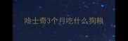 哈士奇3个月吃什么狗粮