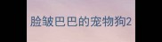 脸皱巴巴的宠物狗