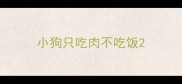 小狗只吃肉不吃饭