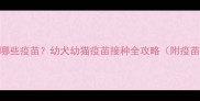 2个月大的宠物需要打哪些疫苗幼犬幼猫疫苗接种全攻略附疫苗种类与接种时间表