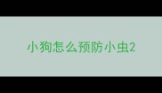 小狗怎么预防小虫