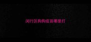 闵行区狗狗疫苗哪里打