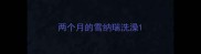 两个月的雪纳瑞洗澡