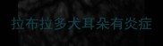 拉布拉多犬耳朵有炎症