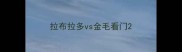 拉布拉多vs金毛看门