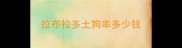 拉布拉多土狗串多少钱