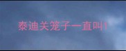 泰迪关笼子一直叫