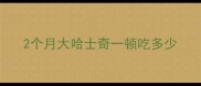 2个月大哈士奇一顿吃多少