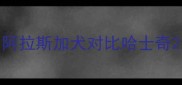 阿拉斯加犬对比哈士奇