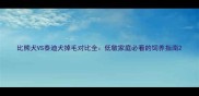 比熊犬VS泰迪犬掉毛对比全低敏家庭必看的饲养指南