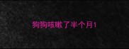 狗狗咳嗽了半个月
