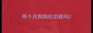 两个月狗狗吃奶糕吗