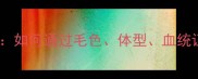 泰迪犬纯种鉴别全攻略如何通过毛色体型血统证书等判断品种纯度