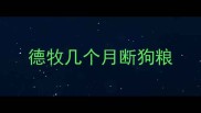 德牧几个月断狗粮