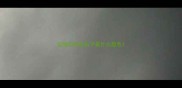边牧拉白色虫子是什么颜色