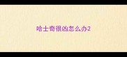 哈士奇很凶怎么办
