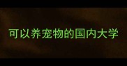 可以养宠物的国内大学
