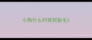 小狗什么时候剪胎毛