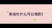 泰迪吃什么可以增肥