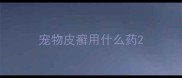 宠物皮癣用什么药