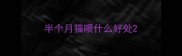 半个月猫喂什么好处