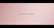 拉布拉多的大便颜色