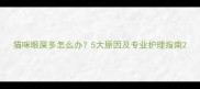 猫咪眼屎多怎么办5大原因及专业护理指南