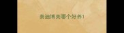 泰迪博美哪个好养