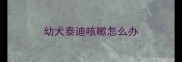 幼犬泰迪咳嗽怎么办