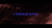 小狗断尾最佳时间