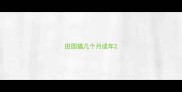 田园猫几个月成年